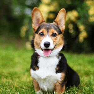 Fundraising Page: Emma & Clara Swanson